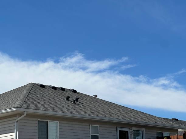 Best Roof Moss and Algae Removal  in Ironde, AL